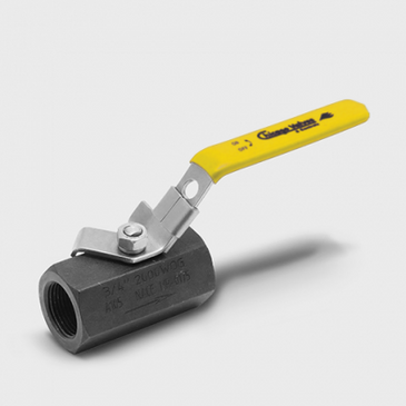 Chicago Valves | 1046R020