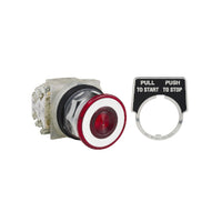 9001KR9RH2 | PUSH BUTTON 600VAC 10A 30MM T-K | Square D