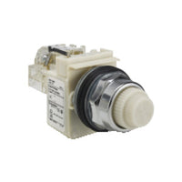 9001KT1W31 | PILOT LIGHT 120VAC 30MM TYPE K +OPTIONS | Square D