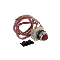 9999SP28R | Pilot light kit Type S, incandescent, red/green, Type 1-3R-12, 120VAC 60Hz | Square D