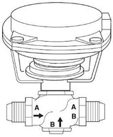 VK-7222-303-4-03 | VB: 5/8 in, 2W, Globe, STR, FLR, UC, BR, 2.2 cv, 10 PSI; Act (MK-4621): Pneu, 2Pos/Prop, 10-13 PSIG, SR, NC, Air NPT, Linear, N1 | Schneider Electric