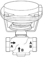 VK-7283-303-4-09 | VB: 1-1/4 in, 2W, Globe, STR, NPT, UC, SS, 20 cv, 40 PSI; Act (MK-4621): Pneu, 2Pos/Prop, 10-13 PSIG, SR, NC, Air NPT, Linear, N1 | Schneider Electric