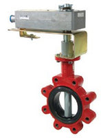 VFF-6220-556-L-11 | VB: 2 in, 2W, BFV, FLG, Full, FE, 144 cv, 175 PSI; Act (MF41-7153): Elec, Float, SR, NC, 24 VAC/22-30 VDC, App, 133 in-lb | Schneider Electric