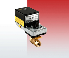 Neptronic FP D1020YP1 + DT060S 1.25" | 2 WAY Full Port Ball Valves | NPT Female Brass Body & Nickel Plated Ball | D series low voltage Actuators | 35 in.lb | 24V | ON/OFF | Floating | Electronic Fail Safe | Blackhawk Supply