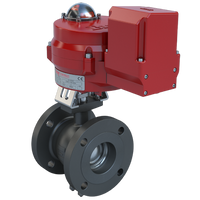 BVMS2-C150-0095/70-24-0081H-BBU | 2