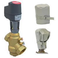 SS-2-N-S-29.7/PAM24-100-WS | 2