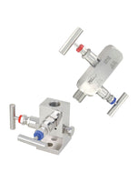 BBV-0F | Flanged 2-valve block manifold | Dwyer