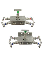 BBV-22 | 5-valve manifold with top mounted vent valves. | Dwyer