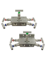 BBV-22F | Flanged 5-valve manifold with top mounted vent valves. | Dwyer