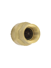 Dwyer BICV-0F07 Brass inline check valve | 2" connection | 60.7 Cv value | weight 2.3 lb (1.03 kg). | Blackhawk Supply