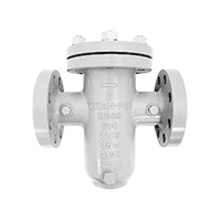 Titan BS89S1000 10" | Basket Strainer | Stainless Steel | ASME Class 600 | Flanged | Bolted Cover | Blackhawk Supply