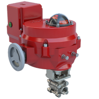 BV05-SS3-32/70-24-0081SVH-BBU | 1/2