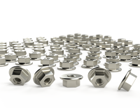 DDM600 | Flanged Nut M6 ( 100 PCS) | 1.77