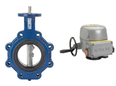 Keystone 221-10-EPI2-051 22-0250W0A10017-I0S10S9E100KB | Keystone 10" 221 (Wafer BFV | Cast Iron Body | 304SS Disc | 416SS Stem | EPDM | Seat | Electric Actuator EPI2-051 | 100-240-40 VAC/VDC | 5100 in-lb) | Blackhawk Supply