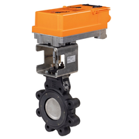F6100-300SHP+JRBUP-3-T | Butterfly Valve (BFV), 4