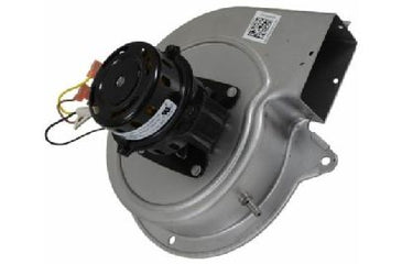 GOODMAN PARTS | 0131M00002PSP