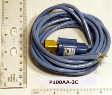 Johnson Controls | P100AA-2C