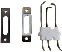 30014189B | FLAME SENSOR / IGNITOR KIT | NAVIEN TANKLESS WATER HEATERS