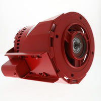 816141-002 | 115v 1/3hp 1725rpm Motor | Armstrong Fluid Technology
