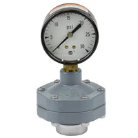 G30V3-002C | 1/4 CPVC 0-30 HG GAUGE GUARD FKM | (PG:625) Spears