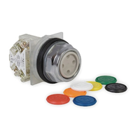 9001KR1UH5 | PUSH BUTTON 600VAC 10A 30MM T-K | Square D