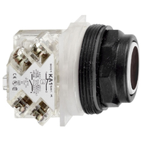 9001SKR1BH5 | PUSHBUTTON 600VAC 10AMP 30MM SK +OPTIONS | Square D
