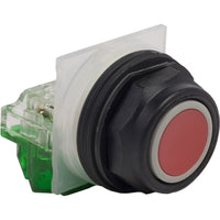 9001SKR1RH5 | PUSHBUTTON 600VAC 10AMP 30MM SK +OPTIONS | Square D