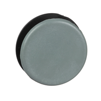 9001K51 | 30MM GREY BLANKING PLUG | Square D