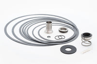 953-1549-1RP | KV | CAST IRON | FI SEAL KIT | TYPE B | 1 1/8