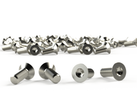VTS616 | Screw, M6 pan head (Pkg. 100) | 5.20