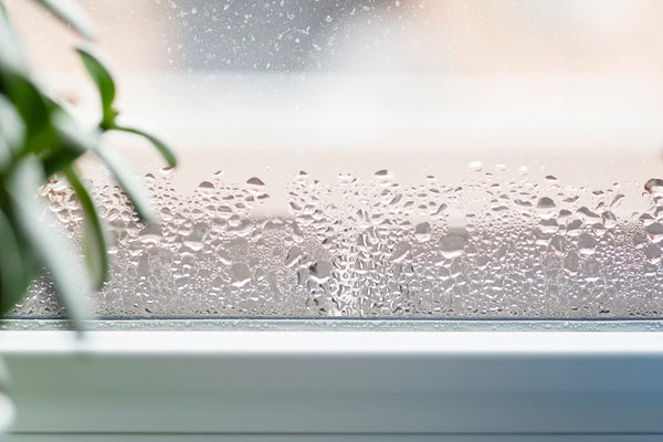 7 Signs Your Home Needs a Dehumidifier: In-Depth Guide