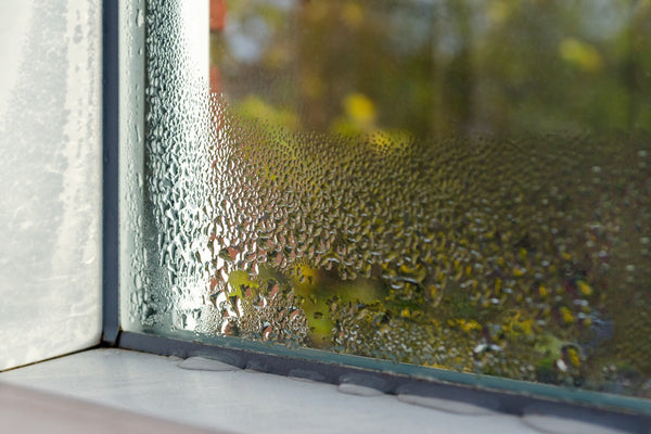 Tips for Controlling the Indoor Humidity