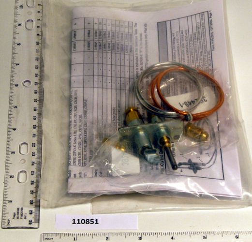 Reznor 110851 Pilot Assy, Stdg Pilot, Natgas | Blackhawk Supply