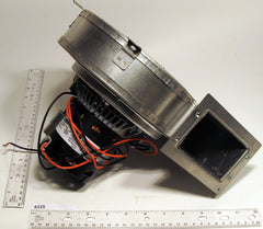 Regal Rexnord - Fasco A325 208-230v 1/10hp Inducer Assy  | Blackhawk Supply