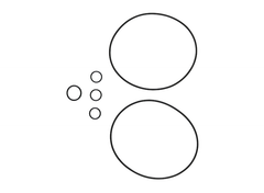 Grundfos 96455090 Gasket Kit CR/I/N 1S/1/3/5  | Blackhawk Supply