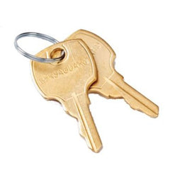 Resideo 191990A SET OF 2 REPLACEMENT KEYS FOR ALL TG510, TG511, TG512'S.  | Blackhawk Supply