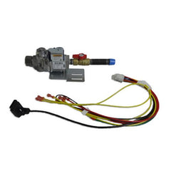 WEIL MCLEAN PARTS 382200410 24v Natural Gas Valve With Manifold Harness & Bracket Replaces 36C98-303 VK8115V  | Blackhawk Supply