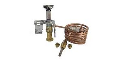 Raypak 003972F Pilot Assy,Nat Gas,Stdg Pilot  | Blackhawk Supply