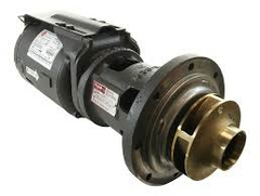 Raypak 009296F Pump less volute w/ 4"Impeller  | Blackhawk Supply
