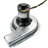 Carrier 48GS400649 Inducer Assembly  | Blackhawk Supply