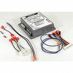 Laars Heating Systems R2015700 Ignition Module  | Blackhawk Supply