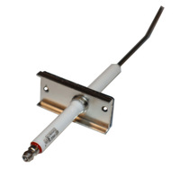 017876F | FLAME SENSOR | Raypak