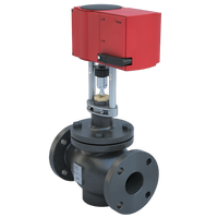 DG250-2-63/GASRE24-450 | 2.5 Inch Flanged Globe Valve | 2 Way | 24 VAC/VDC Actuator | Bray