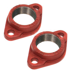 Bell & Gossett 101219 2-1/2" Bell & Gossett Iron Body Pump Flange for PL Pumps - (set)  | Blackhawk Supply