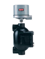 102-WT-4815-C-60 | Flanged chamber type level control | SPDT mercury switch. | Dwyer