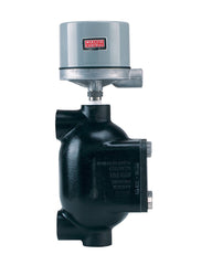 Dwyer 102-WT-4815-C-60 Flanged chamber type level control | SPDT mercury switch.  | Blackhawk Supply