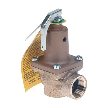 Raypak 007222F Relief Valve 1.1MBTU 3/4 Inch 60 Pounds per Square Inch  | Blackhawk Supply