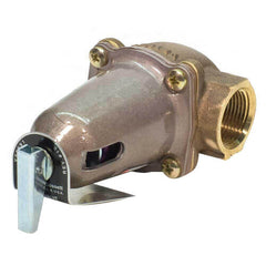 Bell & Gossett 110130 1" 1170-36, 1,330,000 BTU Safety Relief Valve  | Blackhawk Supply