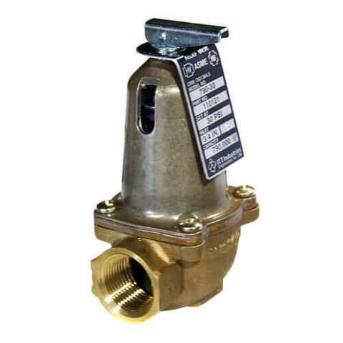 Bell & Gossett 110121 790-30 790K Relief Valve  | Blackhawk Supply