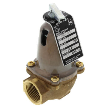 Bell & Gossett 110123 790-45, 1,065,000 BTU Capacity Relief Valve  | Blackhawk Supply